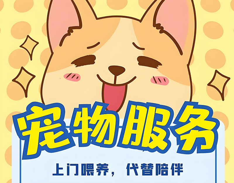 金华铲屎官上门喂养